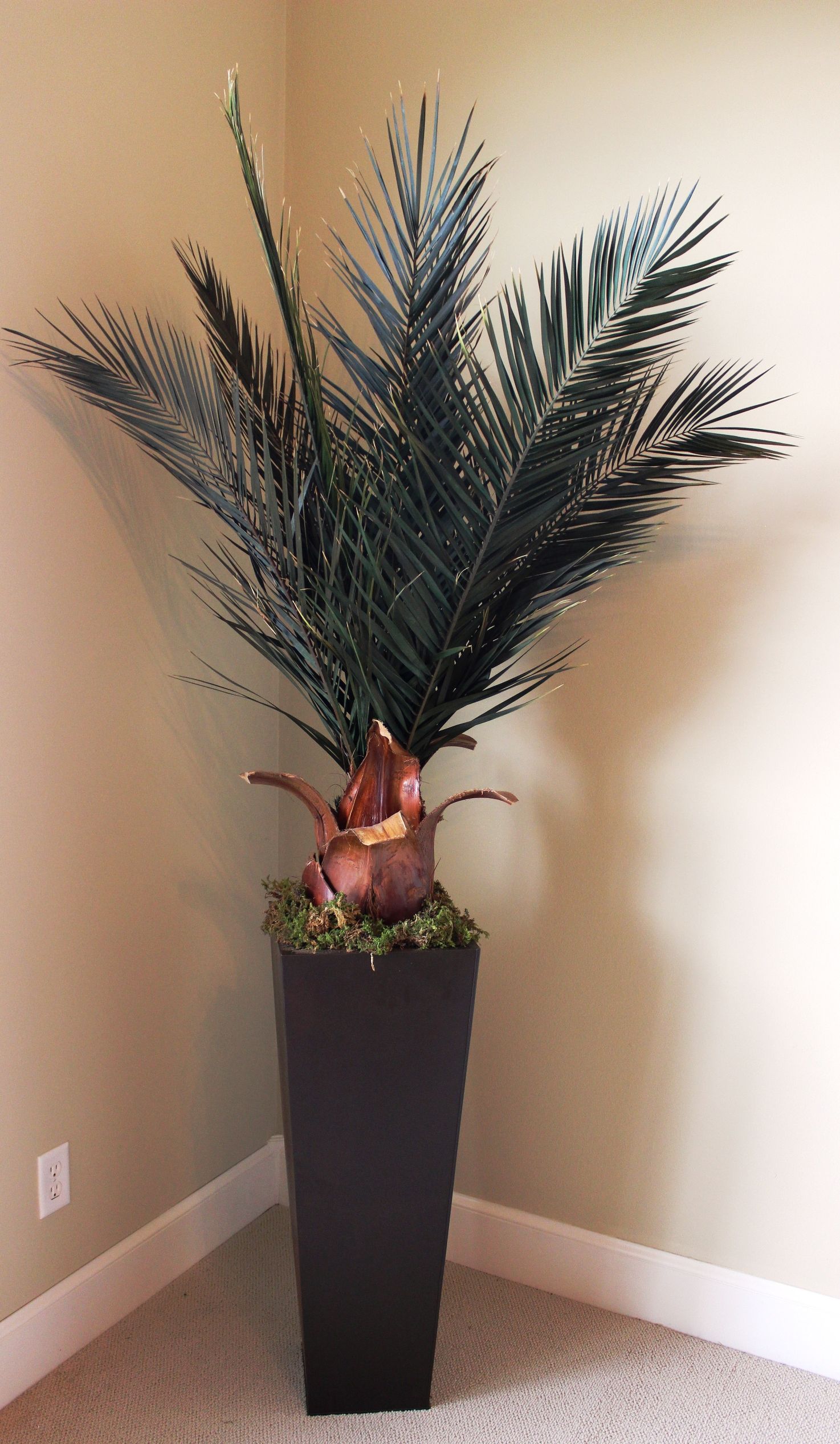 8ft. Azar Palm - Click Image to Close